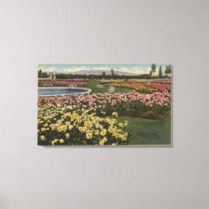 Toile Vue sur le jardin des Roses municipaux