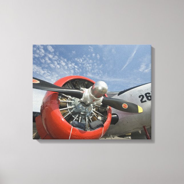 Toile WA, Arlington, Arlington Fly-in, spectacle de la S (Recto)