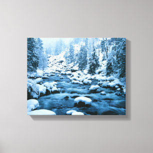 Toile WA, forêt nationale de Wenatchee, Cascade