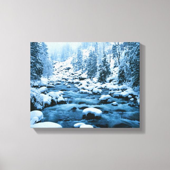 Toile WA, forêt nationale de Wenatchee, Cascade (Recto)