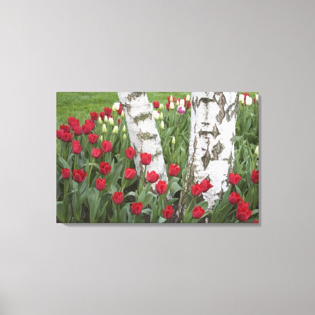 Toile WA, vallée de Skagit, jardin de tulipes Roozengaar (Recto)