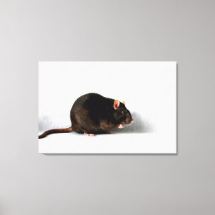 Toile Waccna Rat 36x24 (90x60cm)