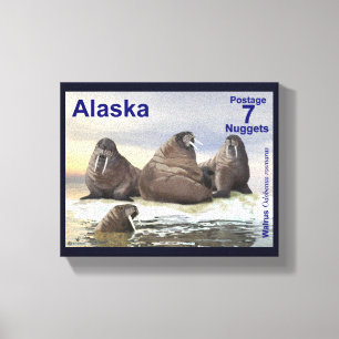 Toile Walrus - Quatre Frères - Alaska Postage