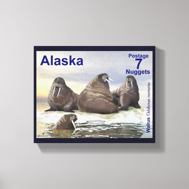 Toile Walrus - Quatre Frères - Alaska Postage (Recto)