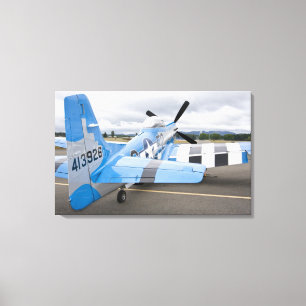 Toile Washington, Olympia, airshow militaire. 3