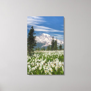 Toile Washington, Parc national du mont Rainier 1