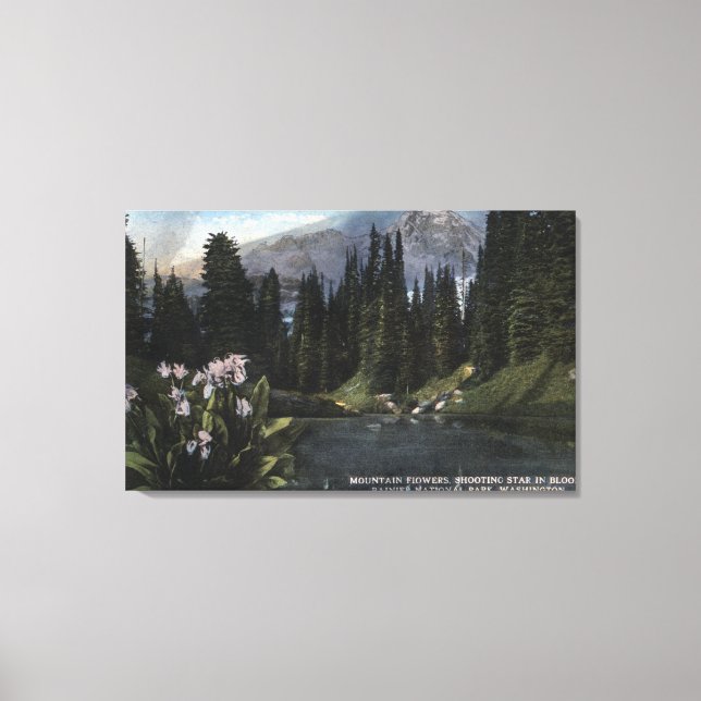 Toile Washington - Parc national Rainier, Sta de tir (Recto)
