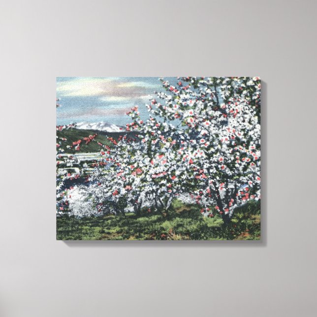 Toile Washington - Vue sur les pommiers en fleurs (Recto)