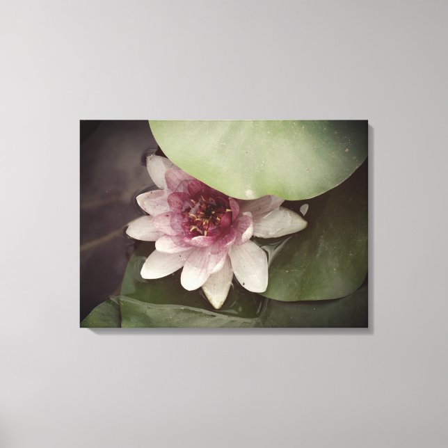 Toile Water Lilly, Lotus Photographie Mur Art (Recto)