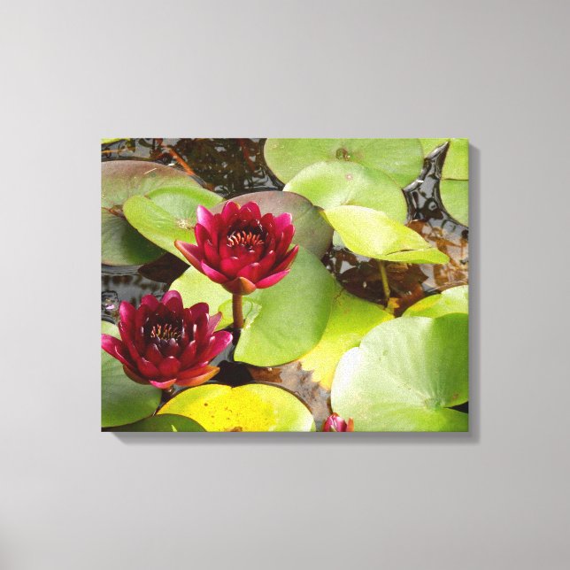 Toile Water Lily Canvas Print (Recto)
