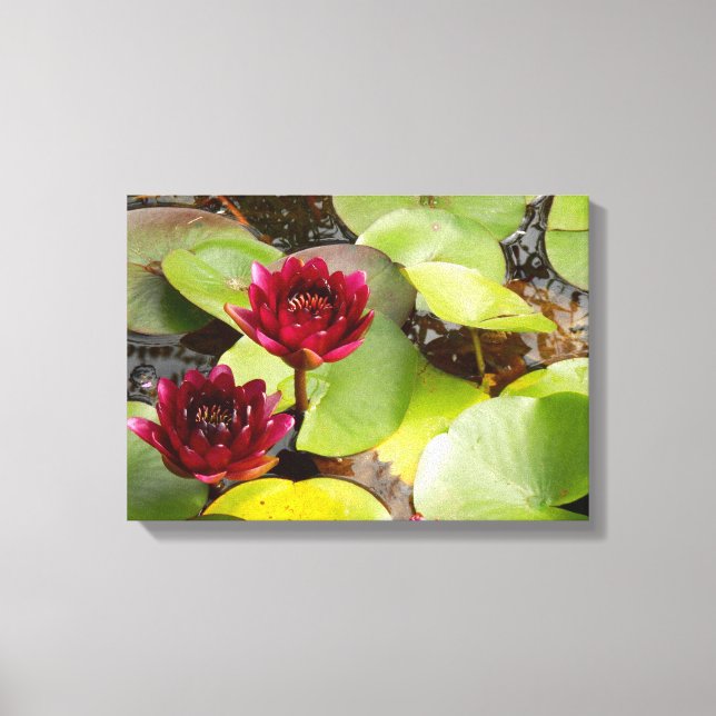 Toile Water Lily Canvas Print (Recto)