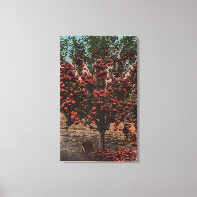 Toile Wenatchee, WAA Wenatchee Valley Apple Tree (Recto)