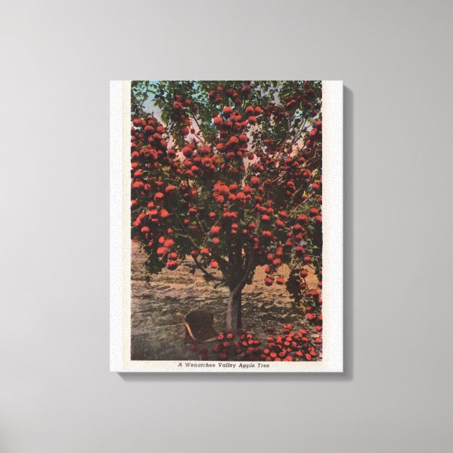 Toile Wenatchee, WAA Wenatchee Valley Apple Tree (Recto)
