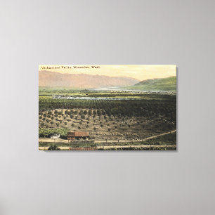 Toile Wenatchee, WashingtonVue aérienne d'un verger