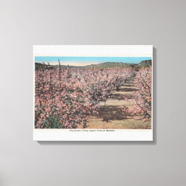 Toile Wenatchee, WAView des pommiers en fleurs (Recto)