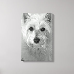 Toile Westie Chien (West Highland White Terrier)