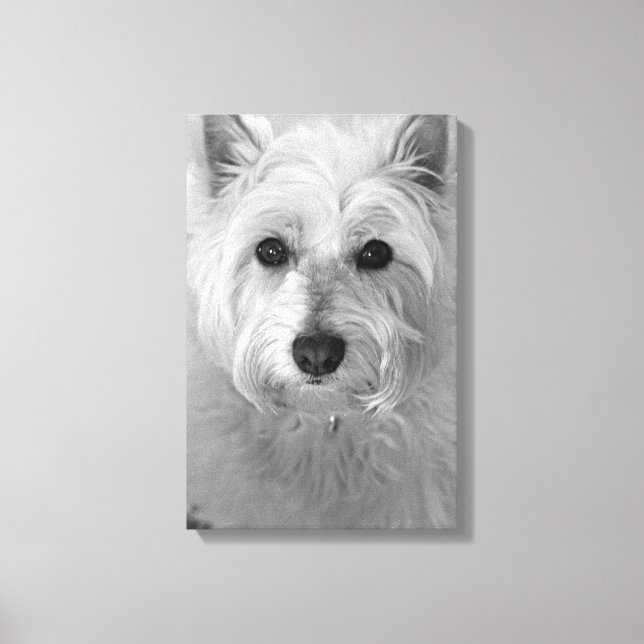 Toile Westie Chien (West Highland White Terrier) (Recto)