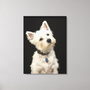 Toile Westie (terrier des montagnes occidental) avec le
