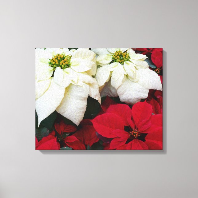 Toile White and Red Poinsettias (Recto)