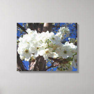 Toile White Blossoms II