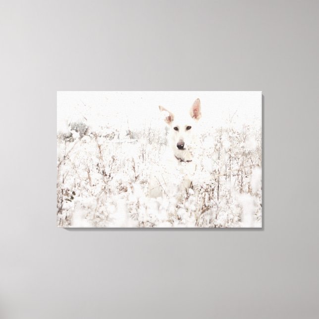 Toile White German Shepherd in the Snow (Recto)