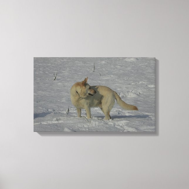 Toile White German Shepherd in the Snow (Recto)