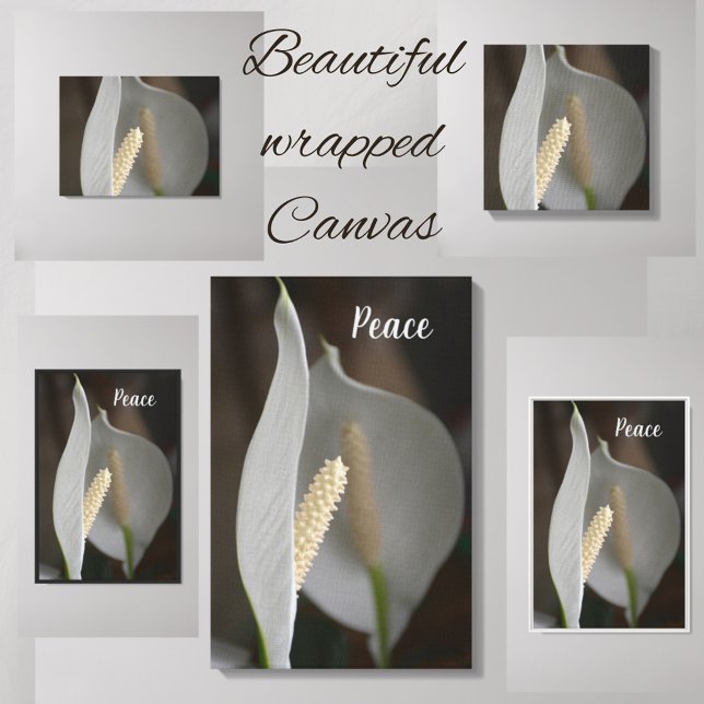 Toile White Peace Lily Floral Élégante photographie (Créateur téléchargé)