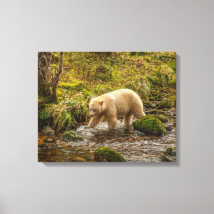 Toile White Spirit Bear Chasse pour poisson sur Riordan