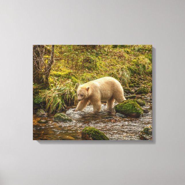 Toile White Spirit Bear Chasse pour poisson sur Riordan  (Recto)