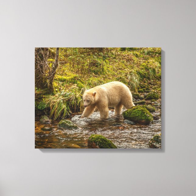 Toile White Spirit Bear Chasse pour poisson sur Riordan  (Recto)