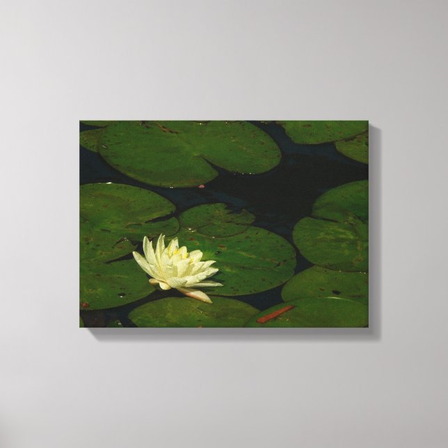 Toile White Waterlily I Peaceful (Recto)
