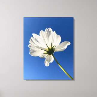 Toile White Wild Flower Canvas Art