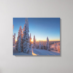 Toile Whitefish, Montana