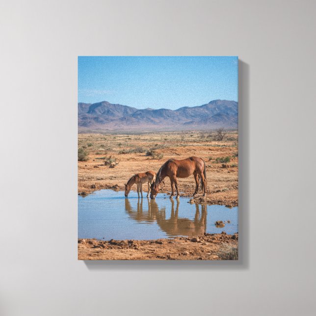 Toile Wild Horses Desert Water Reflection Art (Recto)