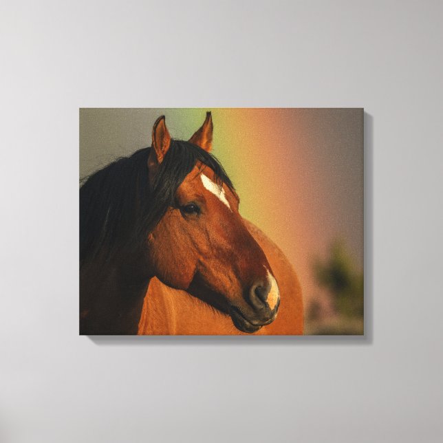 Toile Wild Stallion, Golden Light and Rainbow (Recto)