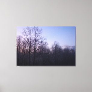Toile Winter Moon Matin Paysage Photographie