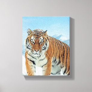 Toile Winter Nature Photo Tiger Montagnes de Neige