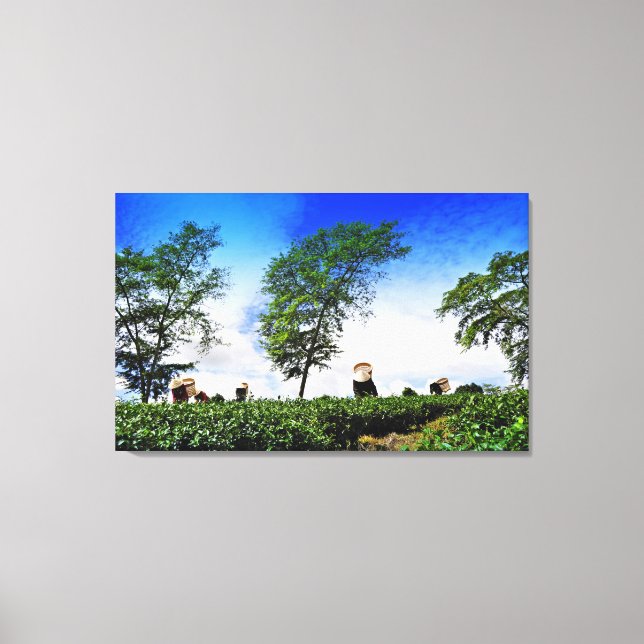 Toile Women harvesting tea (Recto)