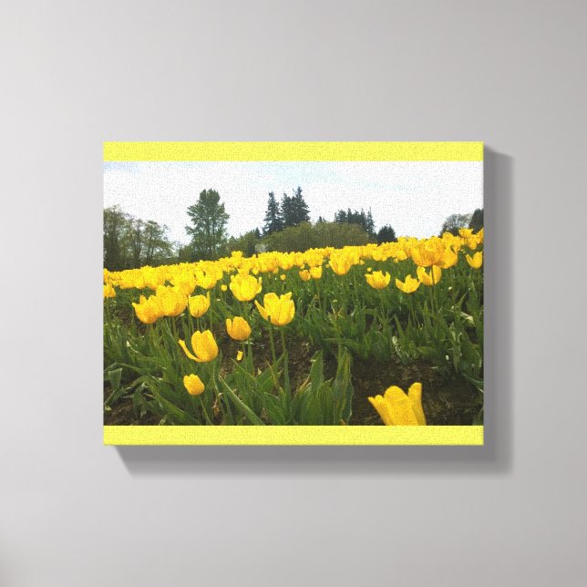 Toile Yellow Tulip Field (Recto)