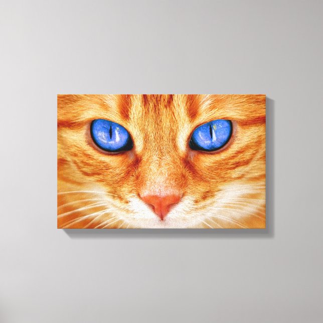 Toile Yeux de chat Face Thon tigre rouge Chat (Recto)