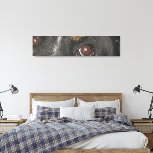 Toile Yeux de Chien de Montagne Bernois (Insitu(Chambre))