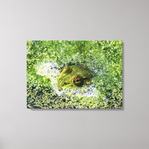 Toile Yeux de grenouille