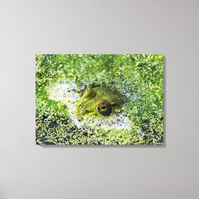 Toile Yeux de grenouille (Recto)