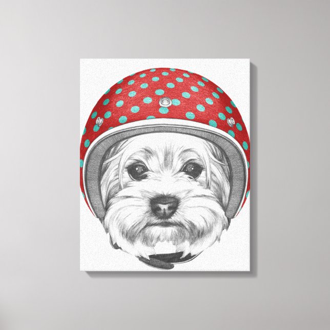 Toile Yorkshire Terrier Daredevil (Recto)