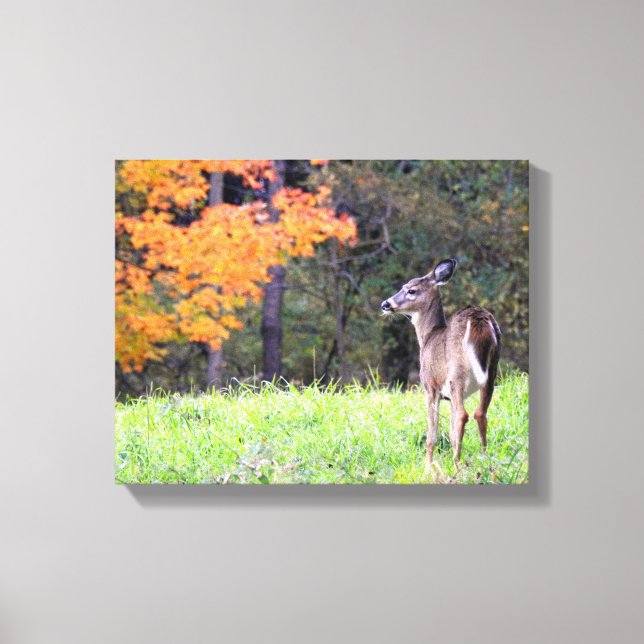 Toile Young Deer à l'automne (Recto)
