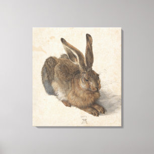 Toile Young Hare Albrecht Durer