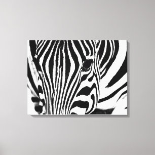 Toile Zebra portrait noir et blanc