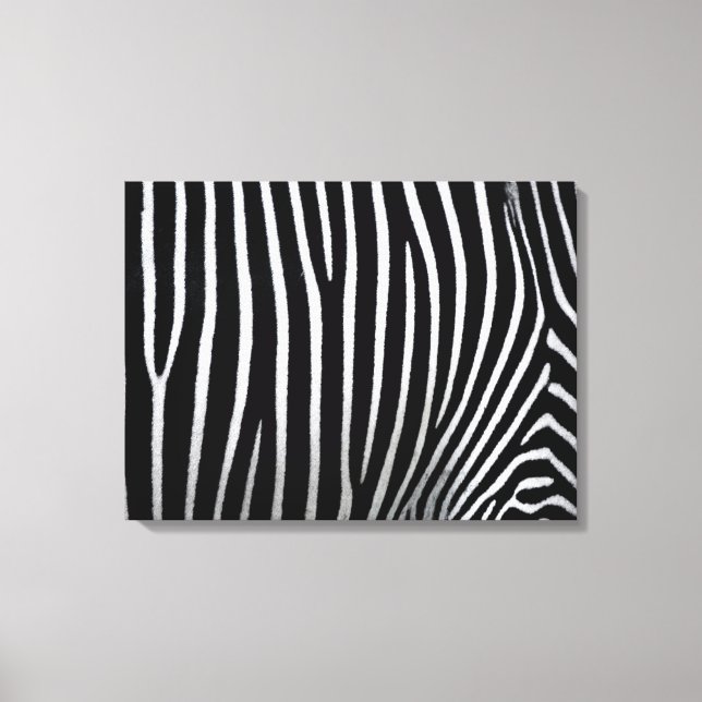 Toile Zebra Skin (Recto)