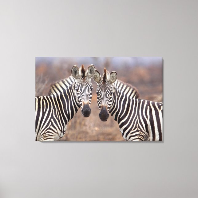 Toile Zèbres des plaines, parc national Kruger (Recto)