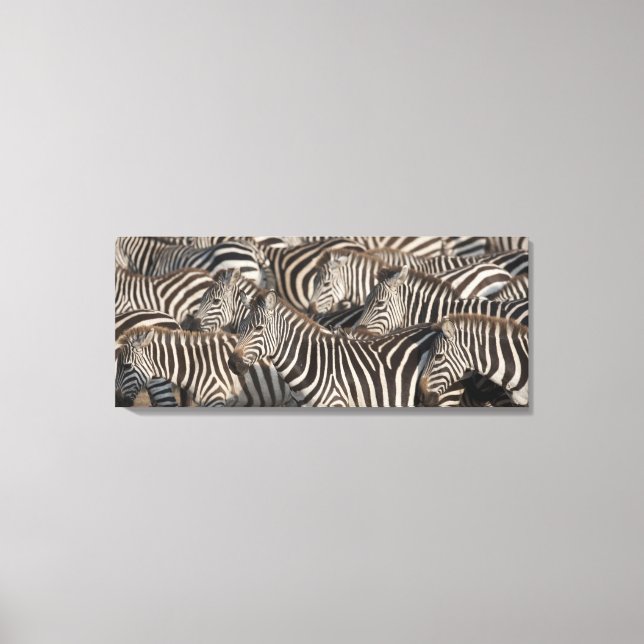 Toile Zèbres, Kenya, Afrique (Recto)